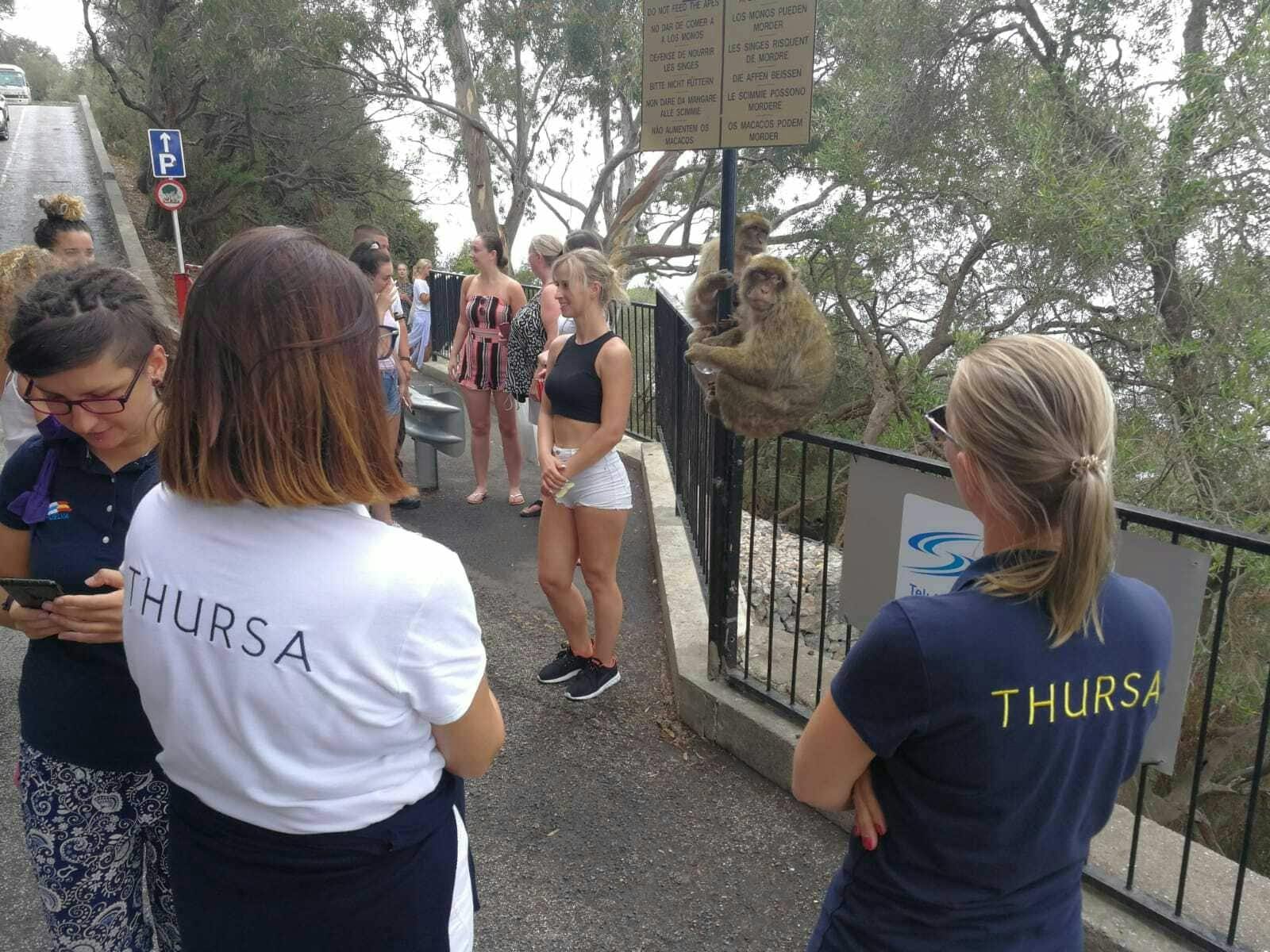 Excursión de un día a Gibraltar desde la Costa de la Luz