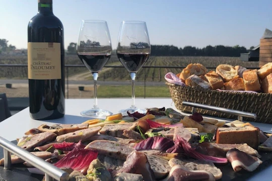 Terroir tour with four wines tasting at Château Paloumey