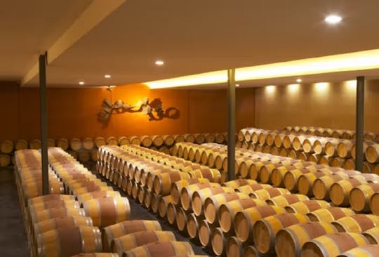 Tour vertical cego e degustação no Château Paloumey