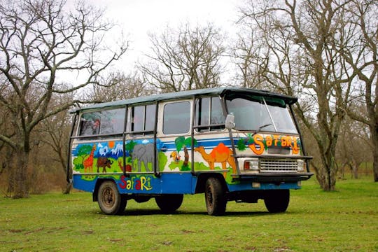 Forest Lodge Safari