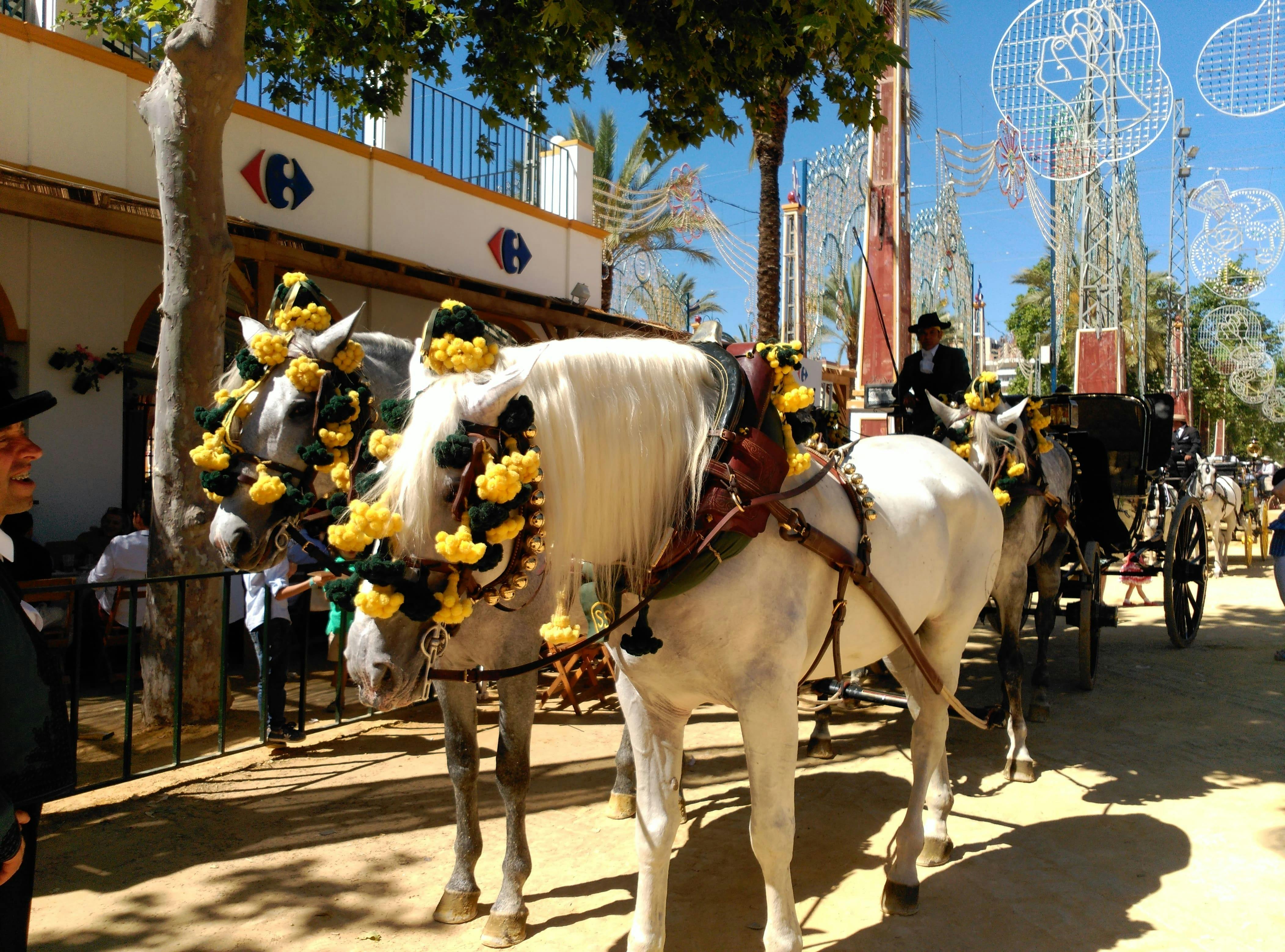 Jerez Feria
