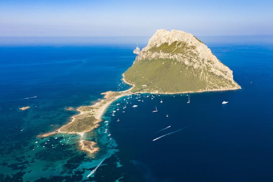 Tavolara & Molara Island Cruise