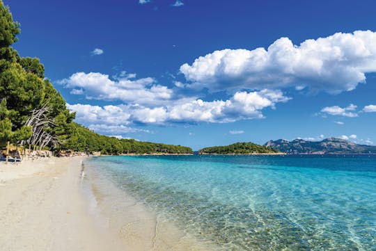 Exclusieve Formentor Strand Excursie met Lunch