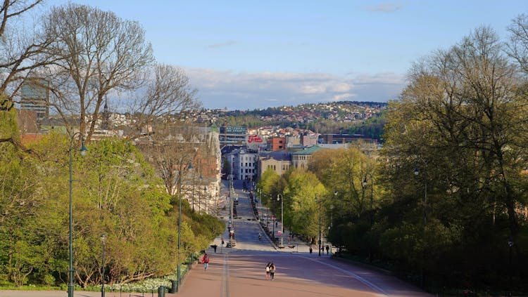 Oslo: 2 city walking tours