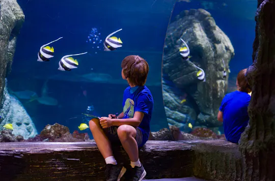 Toegangskaarten om het Sea Life aquarium vanaf München te ontdekken