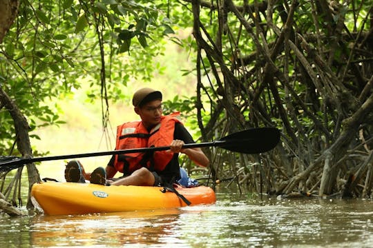 Half-day kayaking adventure on the Sedili river