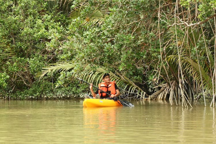 Half-day kayaking adventure on the Sedili river