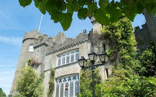 Coastal castles & distillery full-day guided tour