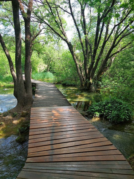 Tour privato del Parco Nazionale di Krka con pranzo e vino locali