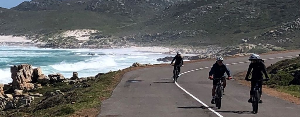 Excursiones en bicicleta eléctrica a los 3 grandes íconos del Cabo