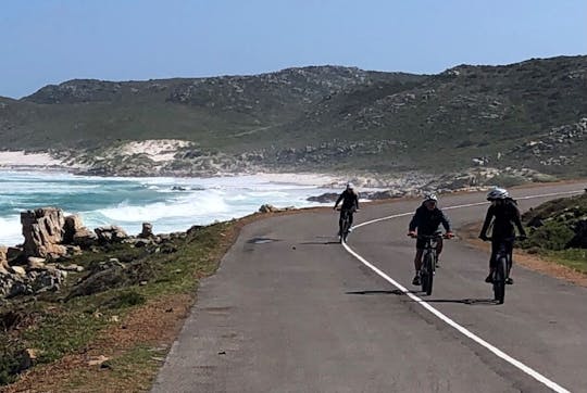 Excursiones en bicicleta eléctrica a los 3 grandes íconos del Cabo