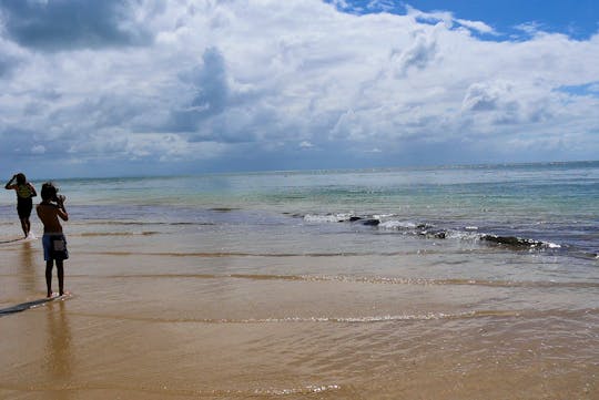 Stradbroke Island day cruise from Brisbane