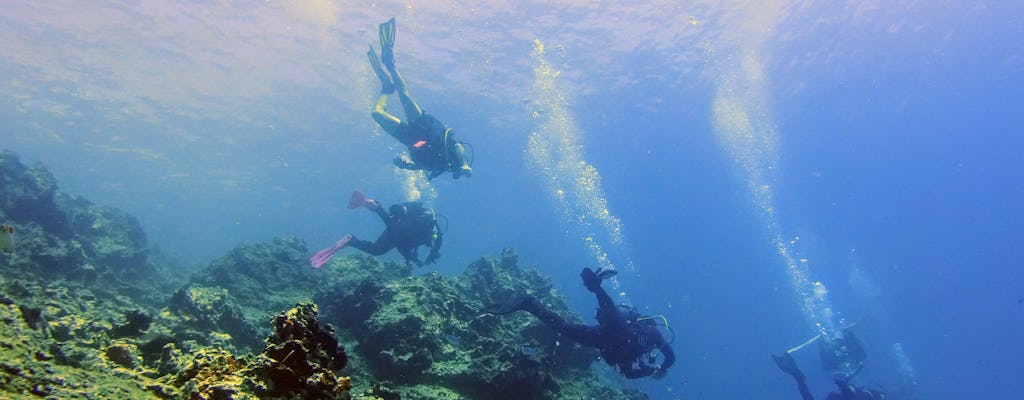 Expérience privée de plongée sous-marine à Athènes