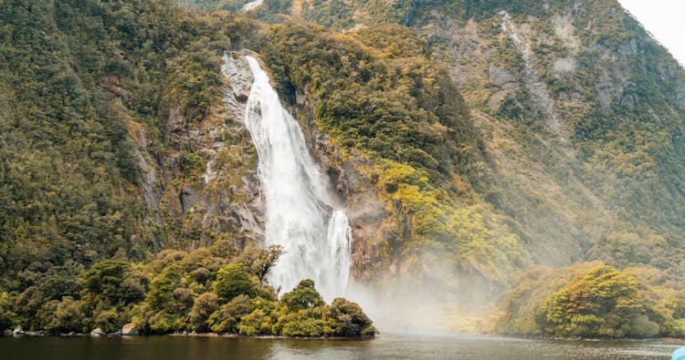 Milford Sound cruise