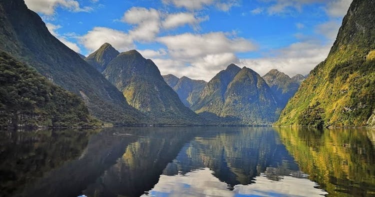 Doubtful Sound wilderness cruise