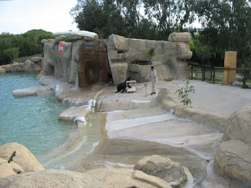 Friguia Tierpark Transfer