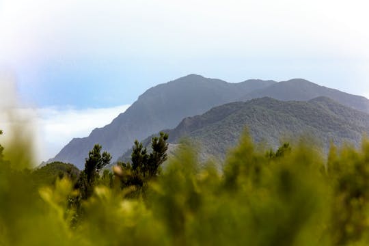 Visite de La Gomera avec la forêt de Garajonay et Saint-Sébastien