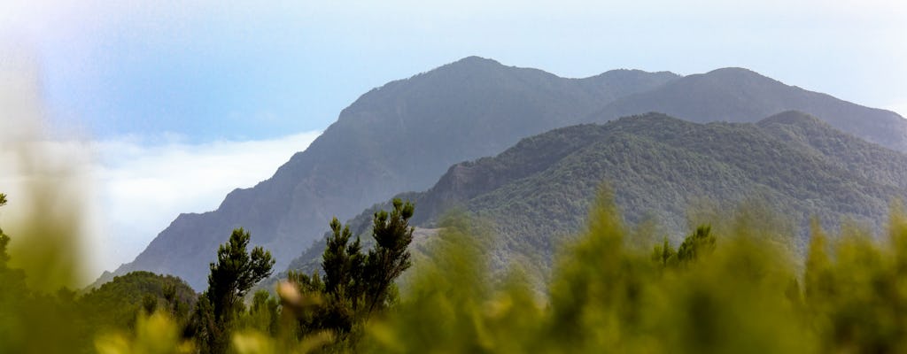 La Gomera Tour mit Garajonay-Wald und San Sebastian