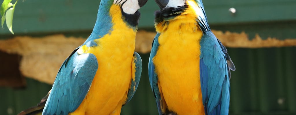 Birdworld Kuranda