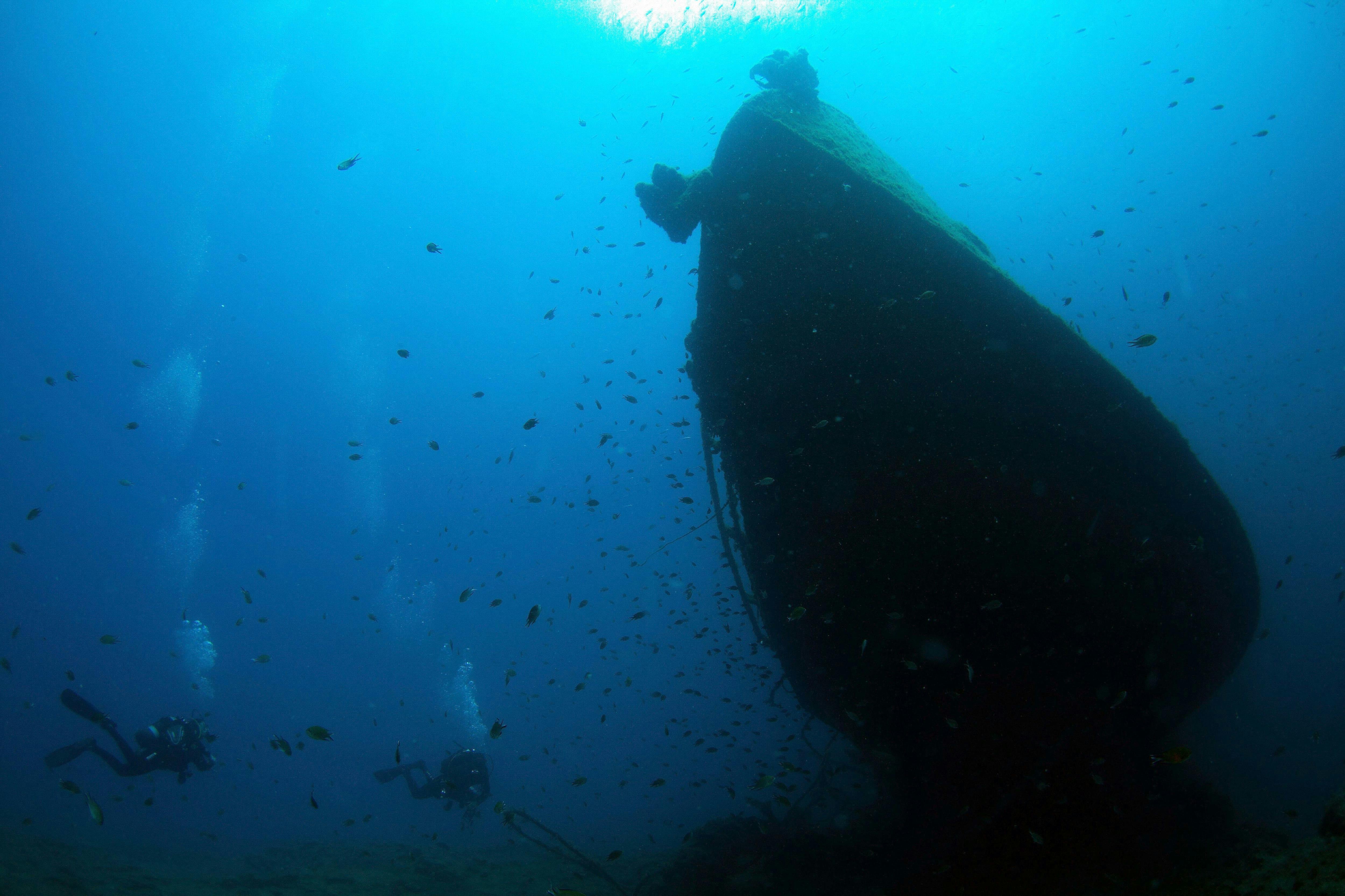 Beginner Scuba Dive Experience with Calero Diving