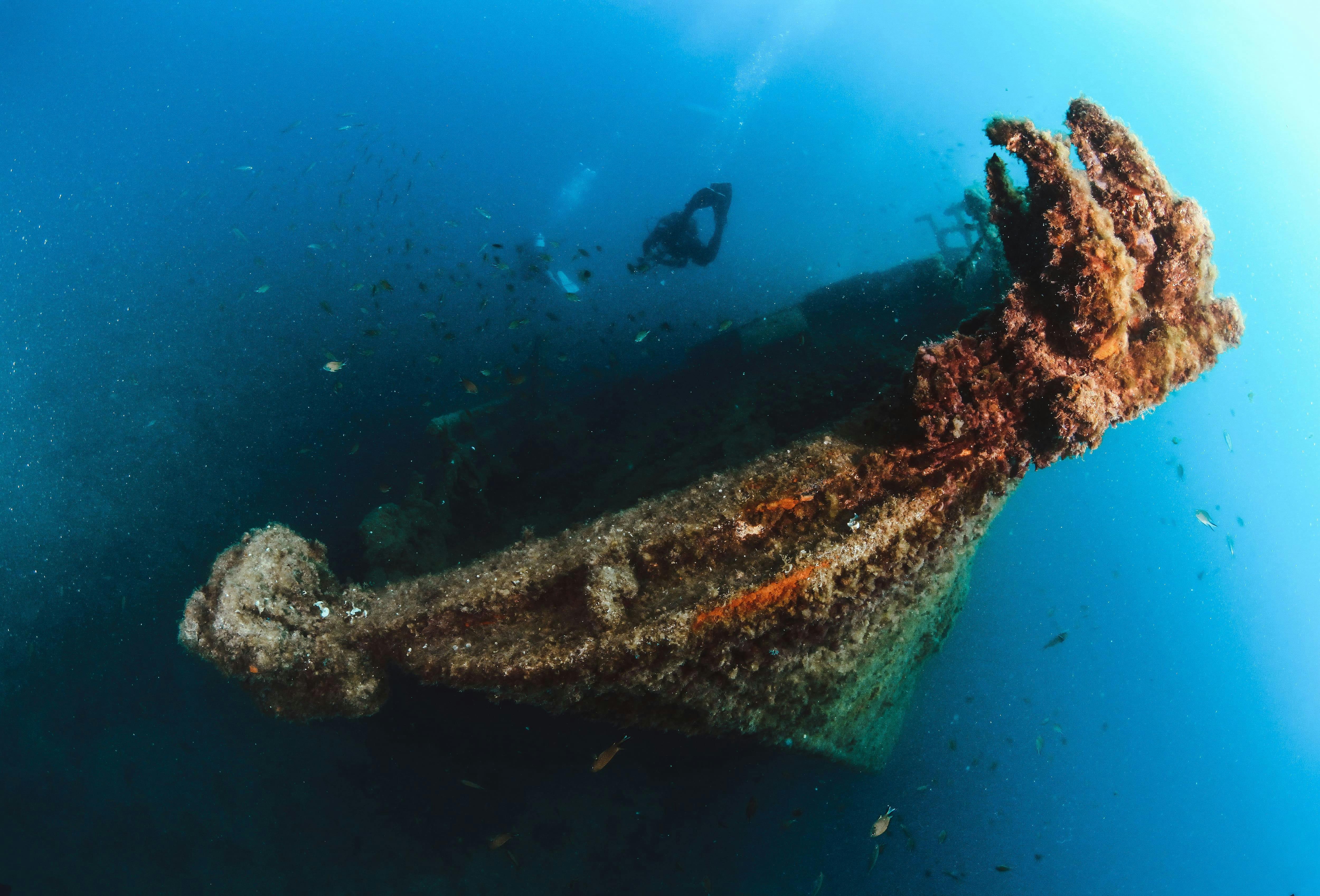Beginner Scuba Dive Experience with Calero Diving