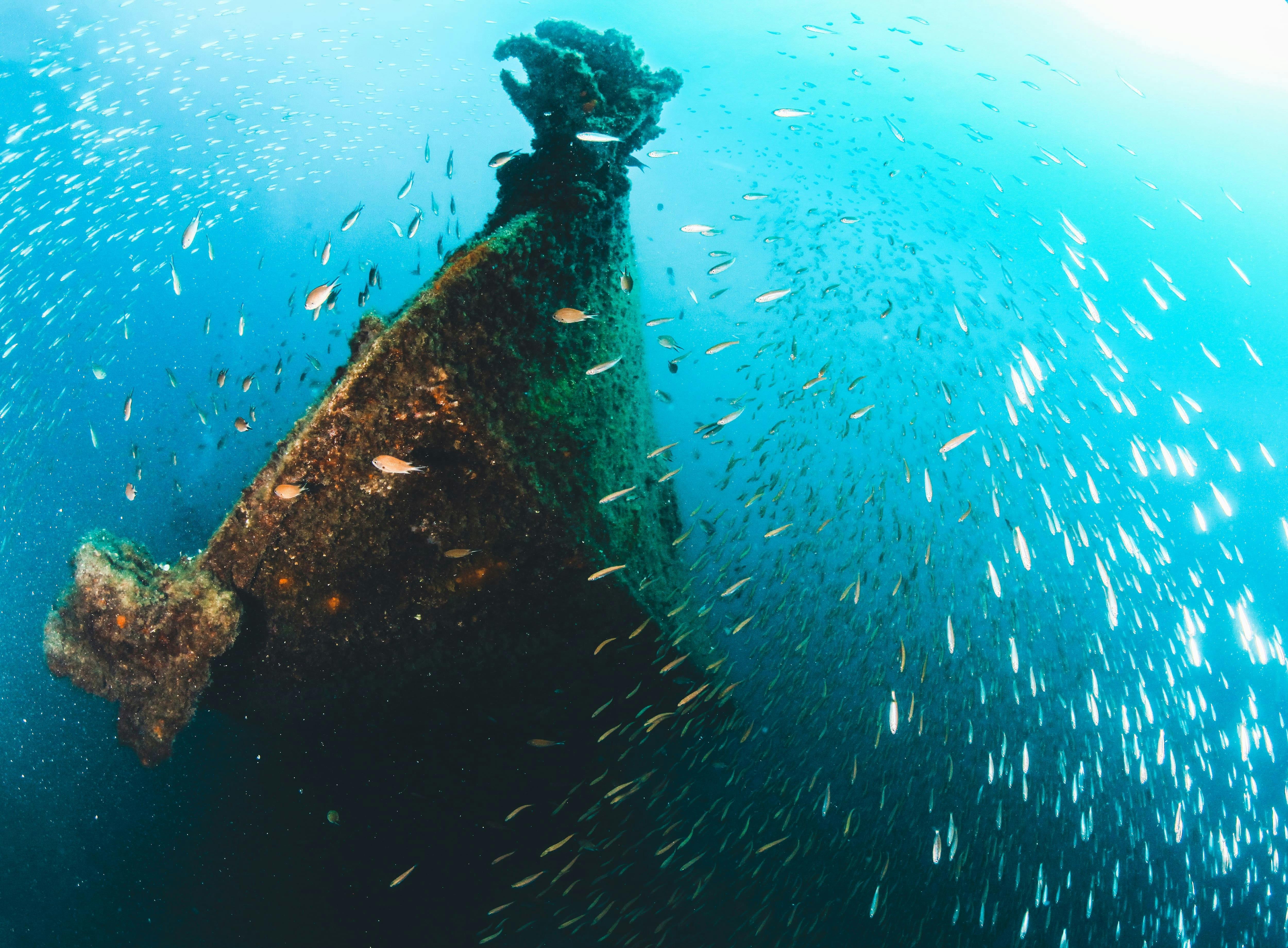 Beginner Scuba Dive Experience with Calero Diving