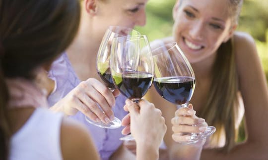 Escursione nel Chianti con degustazione di vino e due incantevoli borghi
