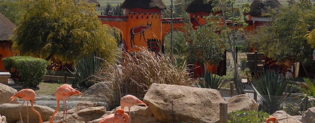 Friguia Tierpark half-day tour