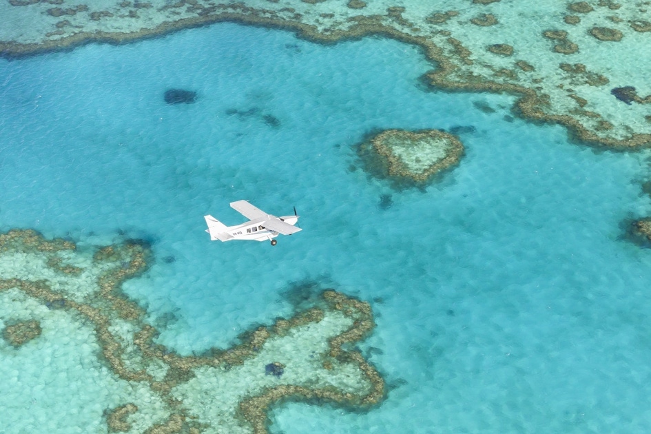 Nature in Airlie Beach
