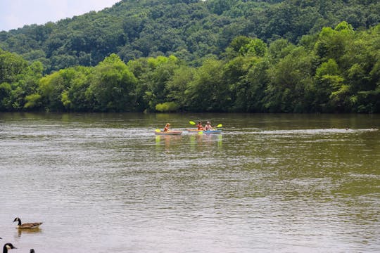 Chattahoochee River Roswell kayak rental - Don White to Azalea