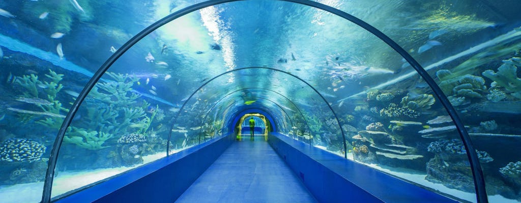 Aquarium d'Antalya et visite guidée de la ville