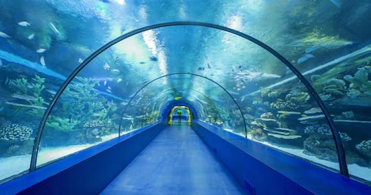 Antalya Aquarium and city guided tour