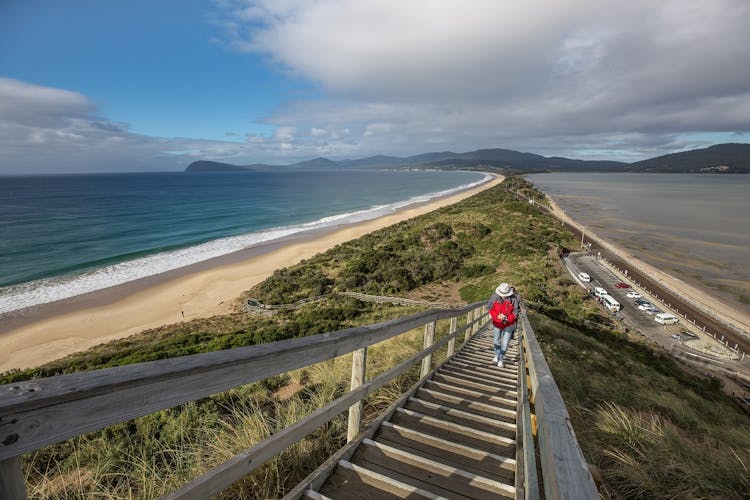 Bruny Island safaris, local food tasting and lighthouse tour