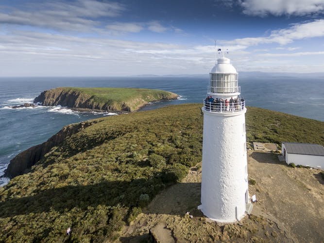 Bruny Island safaris, local food tasting and lighthouse tour