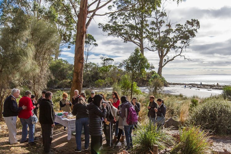 Bruny Island safaris, local food tasting and lighthouse tour