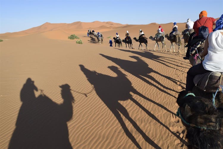 Fes to Marrakech 3-day private desert trip experience