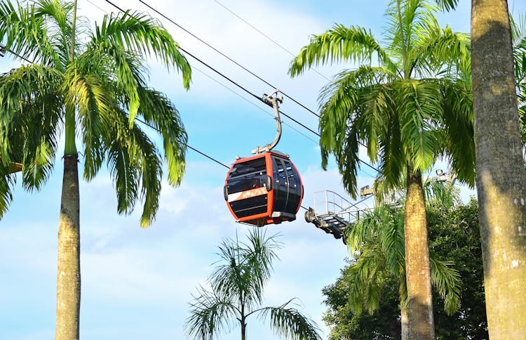 COMBO: Wings of Time + Singapore Cable Car Sky Pass