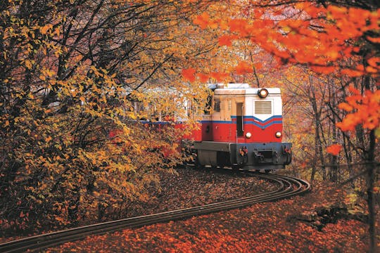Children’s Railway and dripstone cave tour