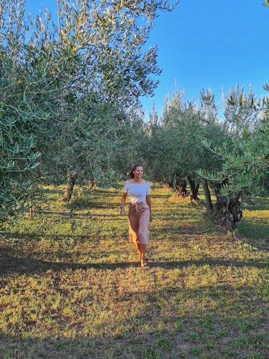 Authentic Istrian olive oil grove guided visit including tastings