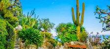 Exotic Garden of Monaco