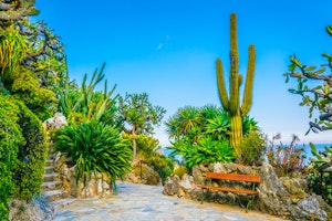 Exotic Garden of Monaco