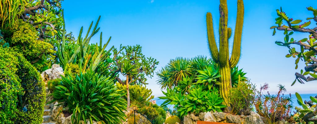 Exotic Garden of Monaco