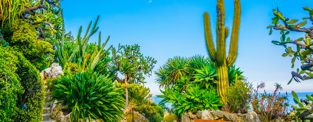 Exotic Garden of Monaco