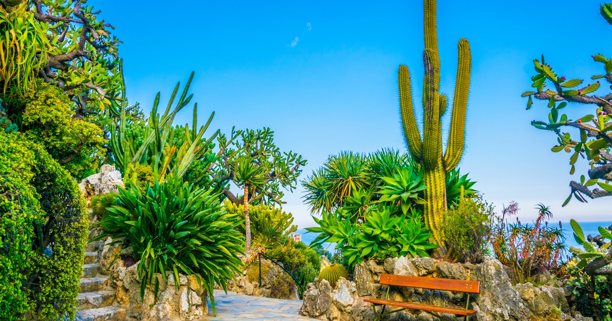 Monaco Exotic Garden tours and tickets