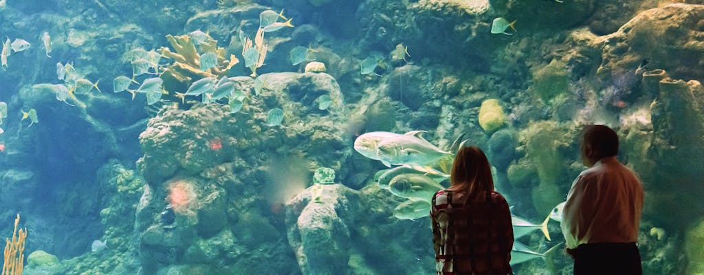 Das Florida Aquarium