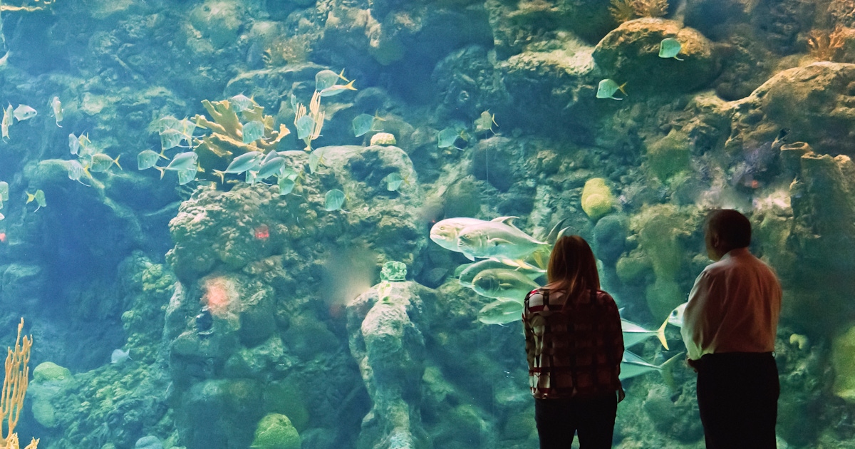 The Florida Aquarium Tickets & Tours The Florida Aquarium Tickets & Tours