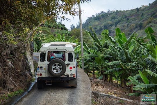 Tour in 4x4 di Madeira da Funchal a ovest e la foresta di Fanal