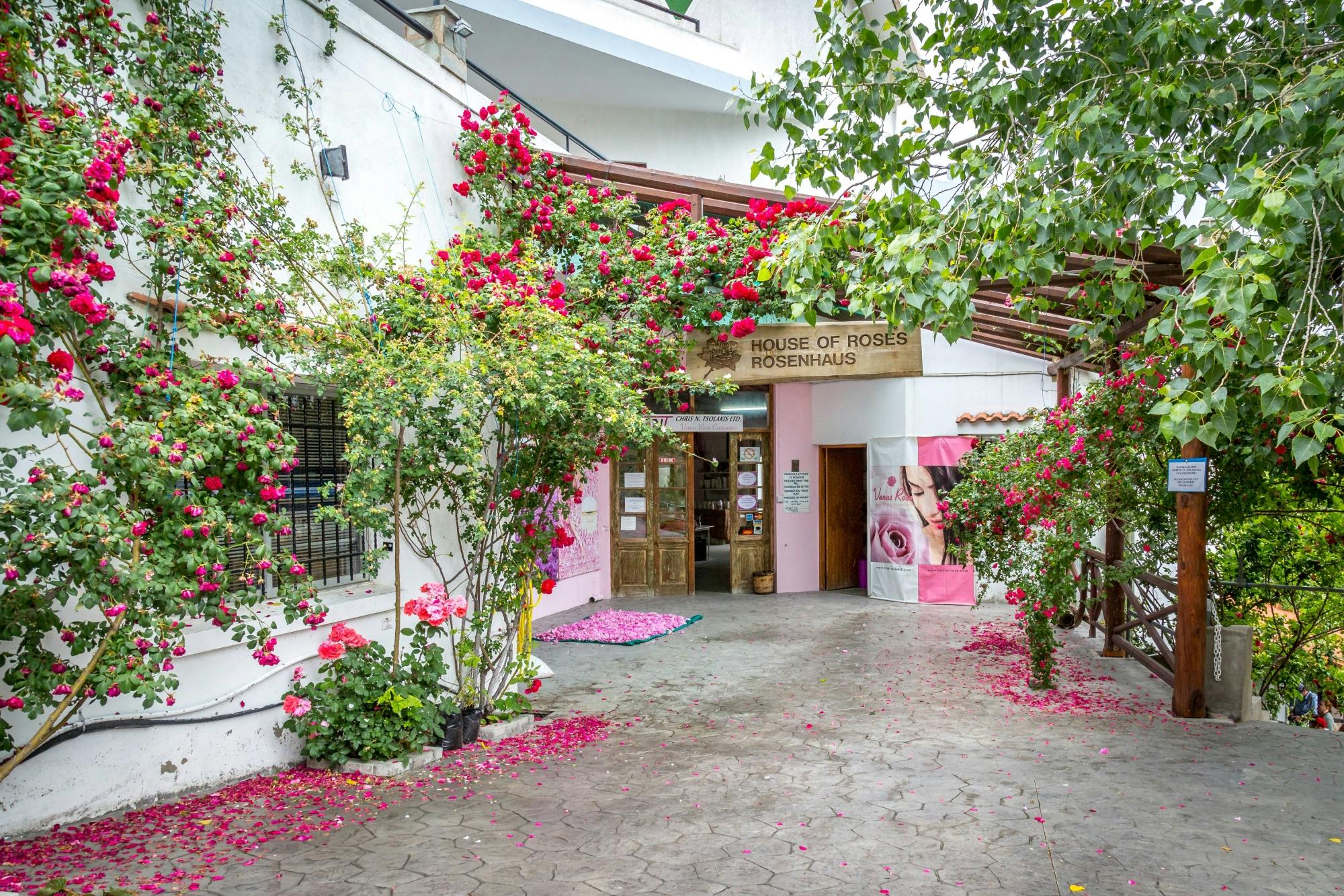 Visite de la gastronomie et du vin chypriote au départ de Paphos