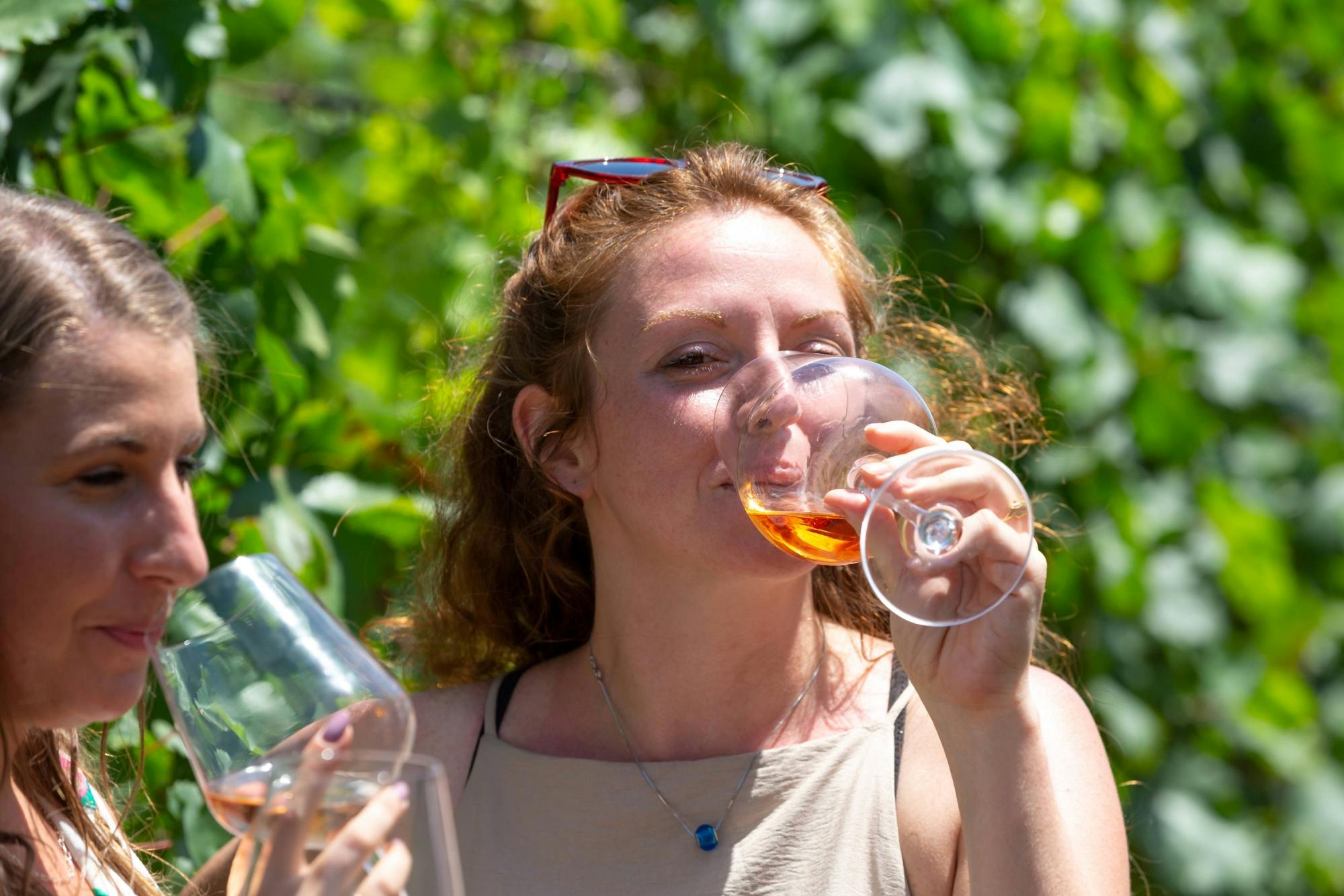 Cyprus Food and Wine Tour from Paphos