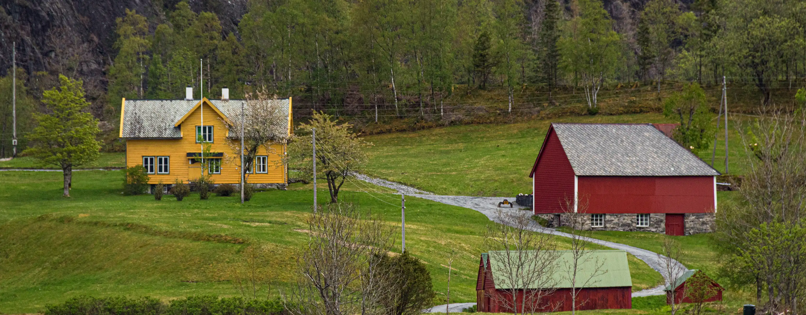 Mostraumen Fjord – pääsyliput ja kierrokset